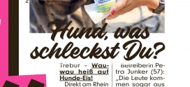 Hundeeis – gibt’s auch bei uns!